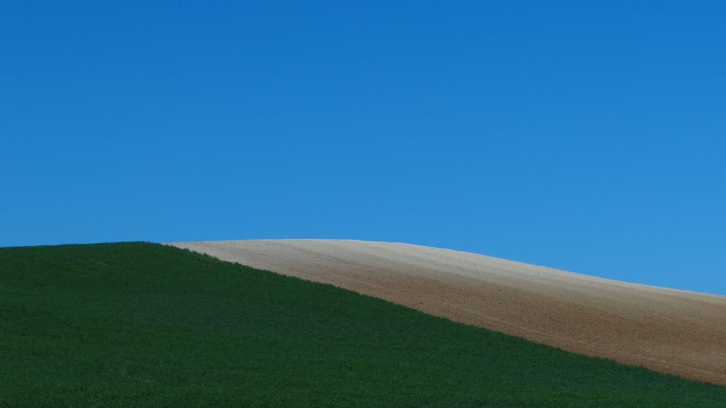 Colline