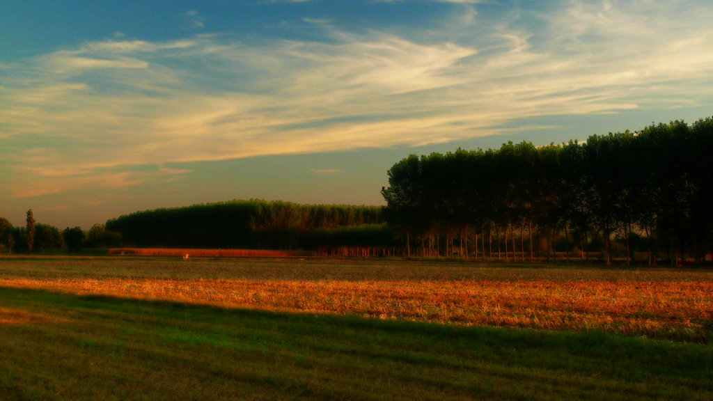 La terra e il sogno (2)