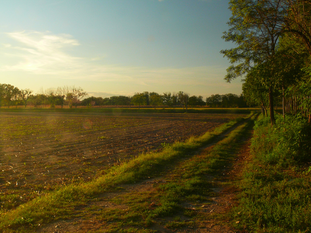 La terra e il sogno (3)