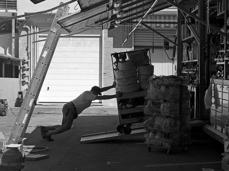 Il lavoro nobilita....