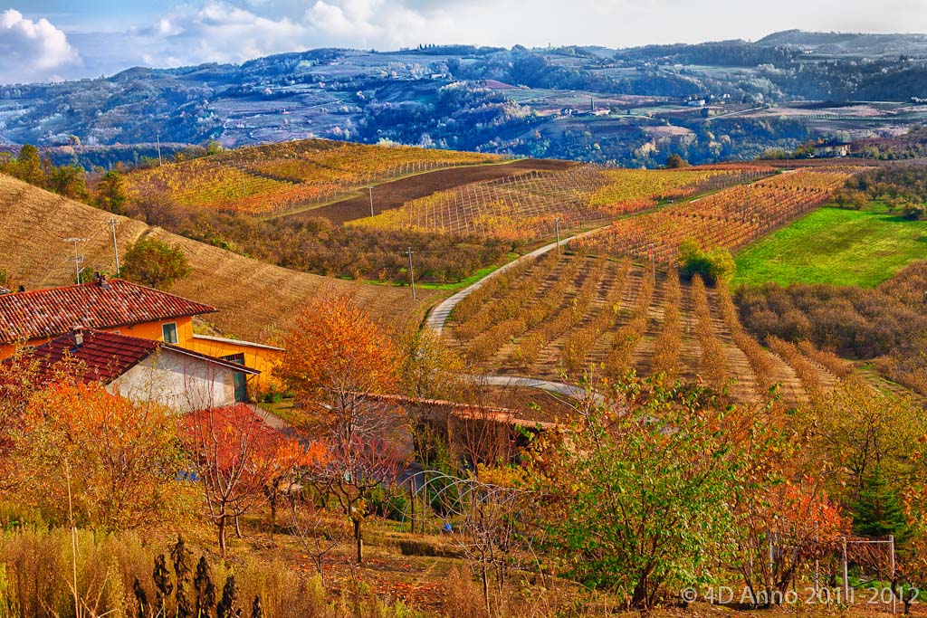 Langhe Autunno 2008 (seconda)