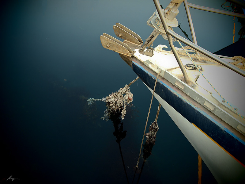 Ormeggio - particolare