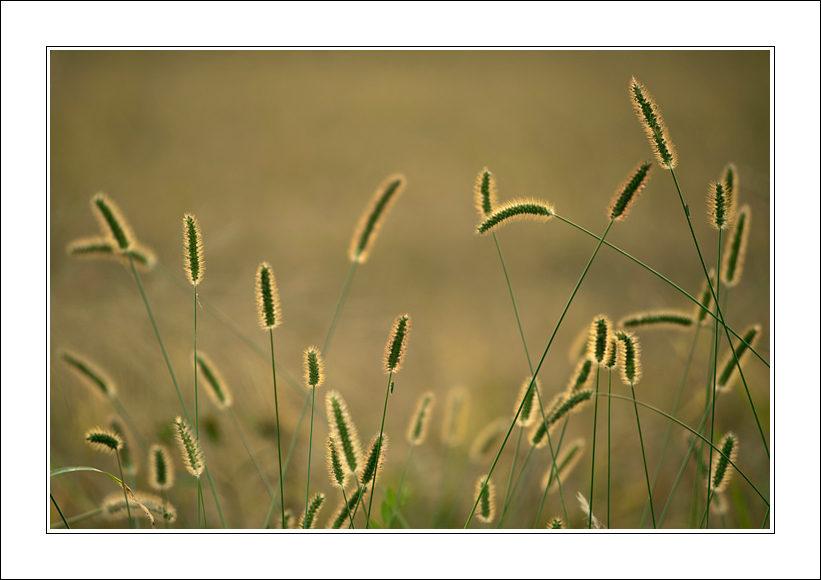 Si apre e si accende...