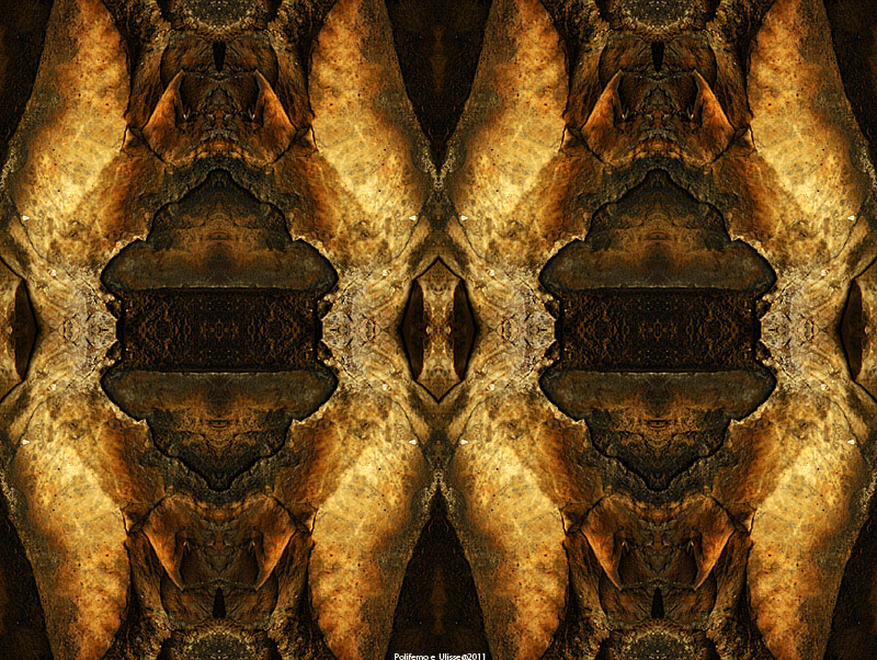 Polifemo e Ulisse @ 2011