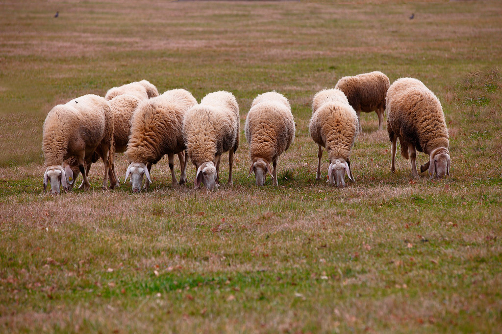 Pronti - Partenza -Via