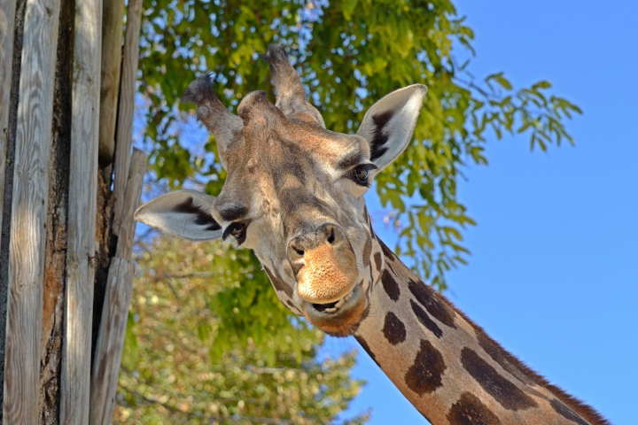 mbh�...che c'� ??