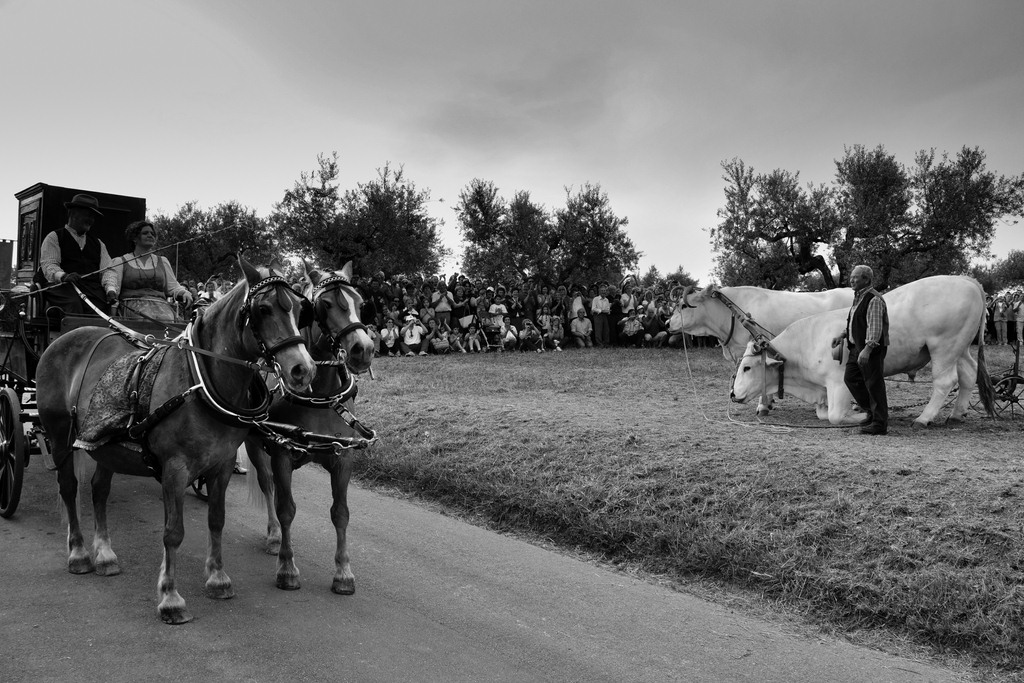 Vorrei sottoporre a lettura questo portfolio...