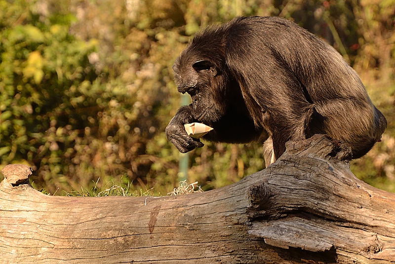 ...lettura attenta...