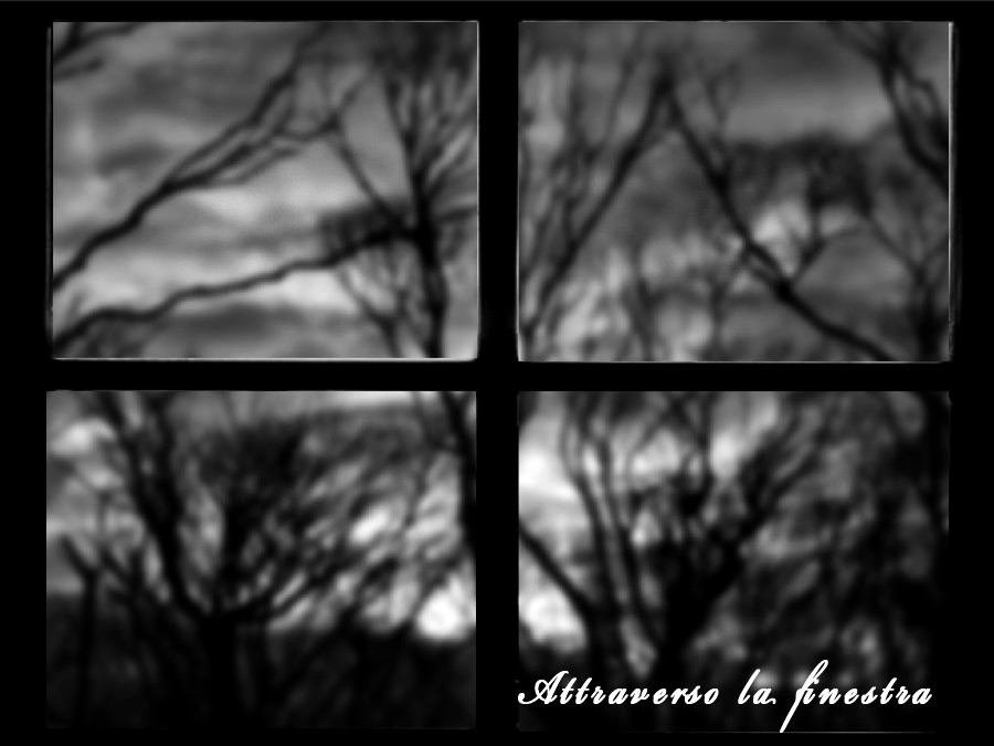 Attraverso la finestra