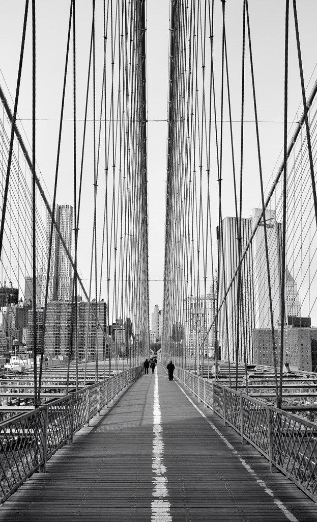 Nella morsa del ragno