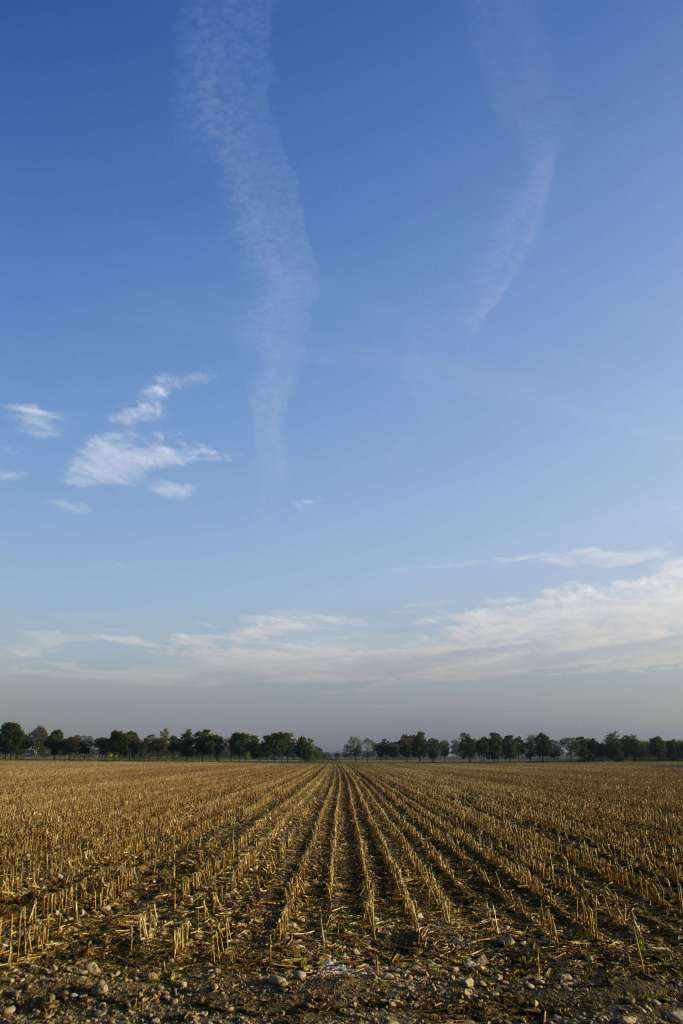 Come in cielo, cos� in terra