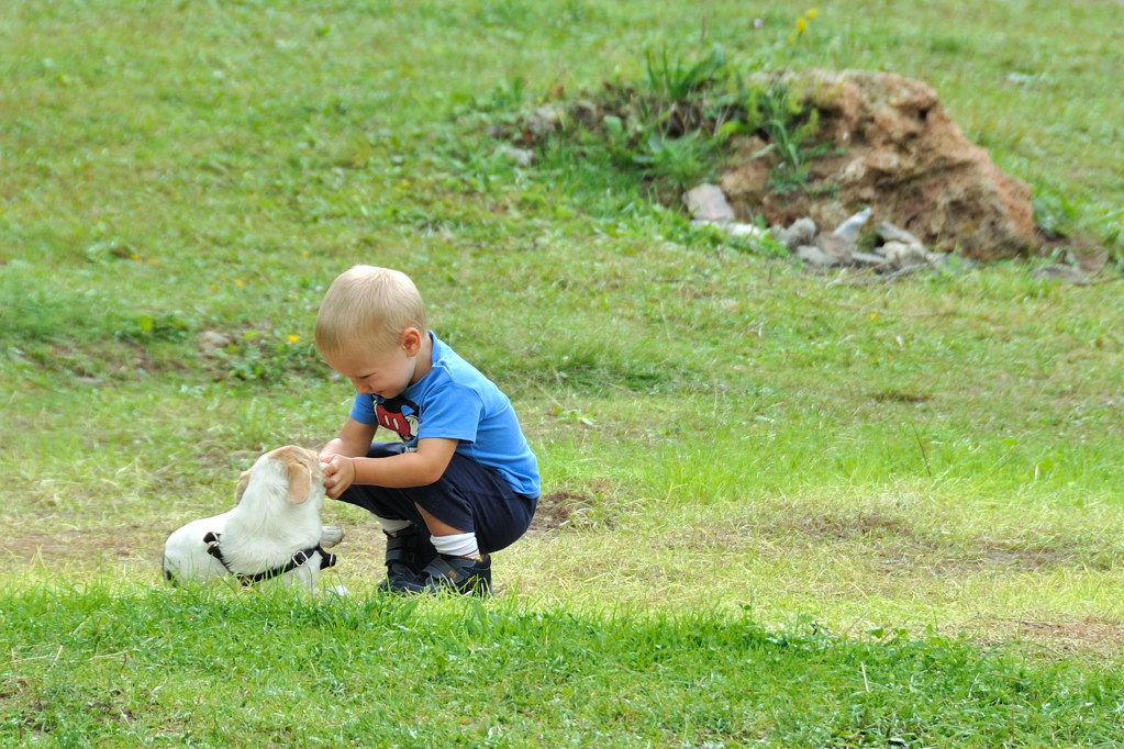 Ma di chi � questo musotto qui?