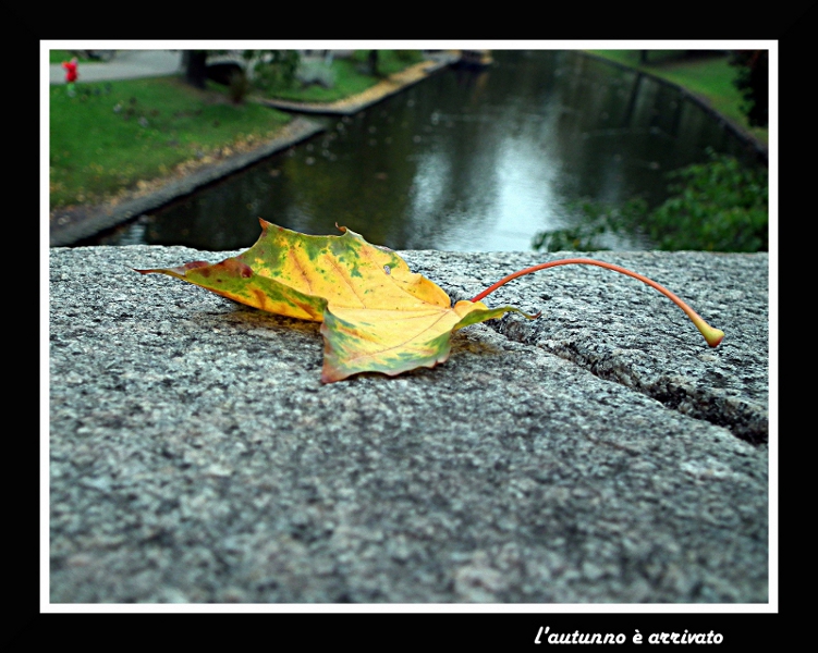 l'autunno � arrivato....