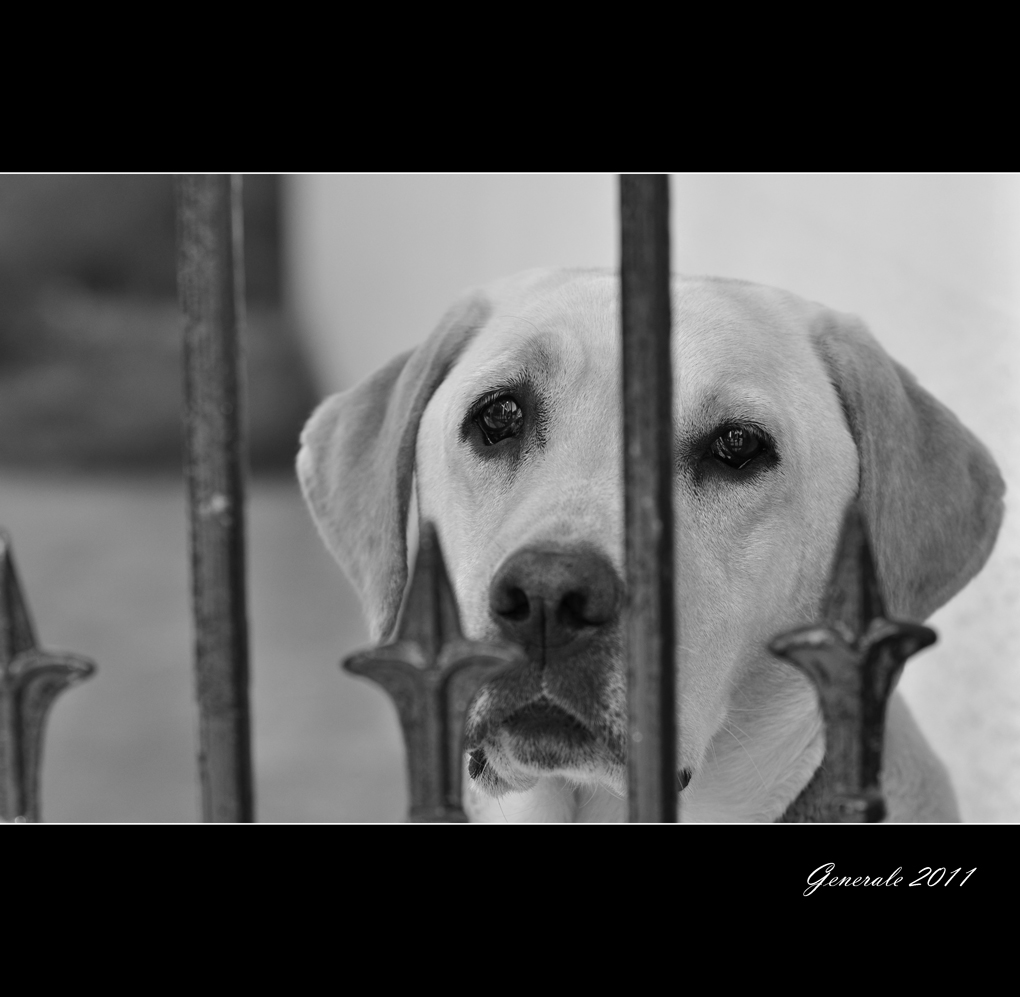 Dietro le sbarre (solo per pochi minuti)