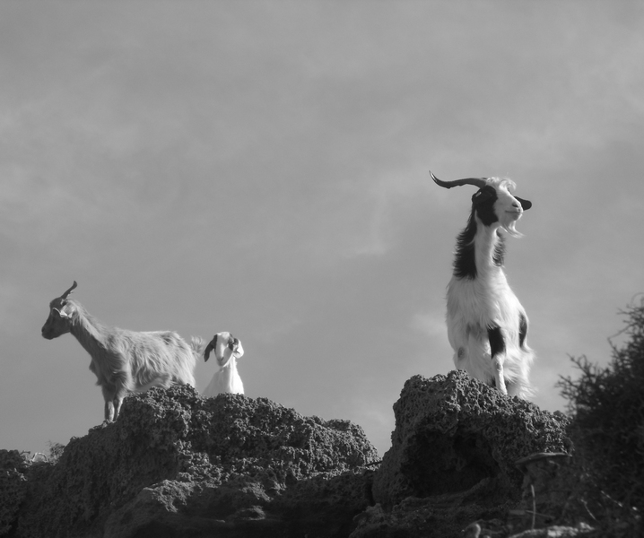 scrutando l'orizzonte....