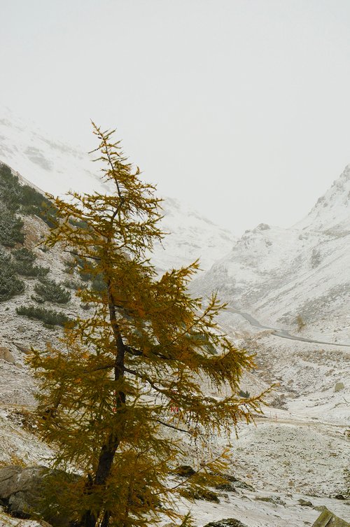 Fragile e indefesa, in ambiente ostico...