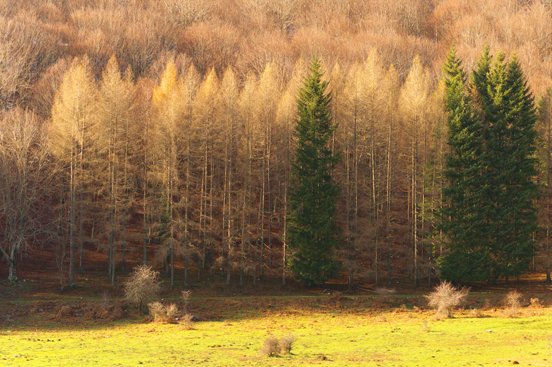 Laceno (Avellino) 8-12-2005