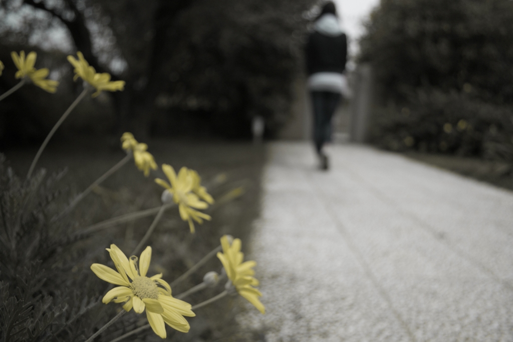 una luce di speranza