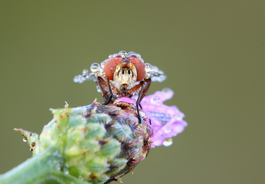 In compagnia di alex74