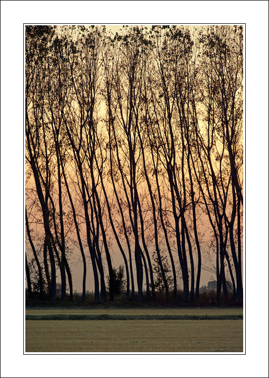 Oltre l'immaginazione..