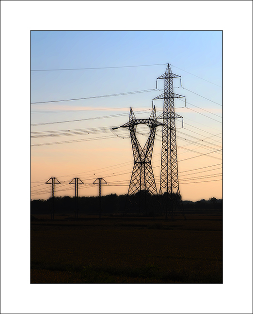 Ritratto di Famiglia