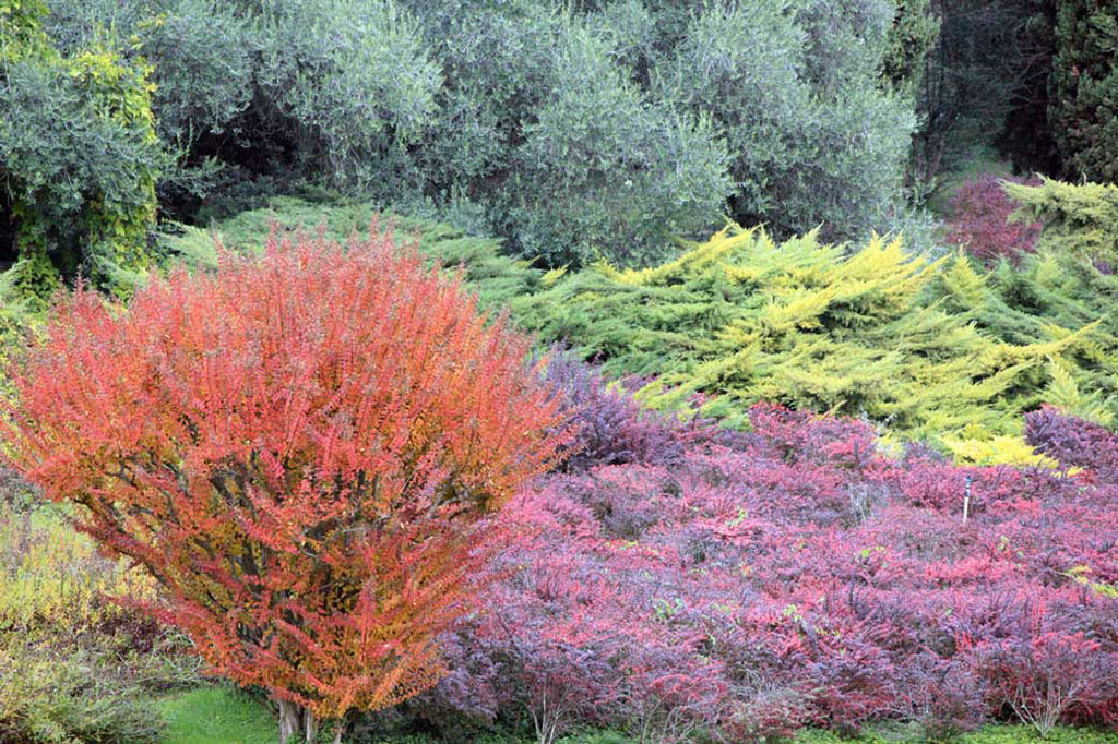 colori di autunno