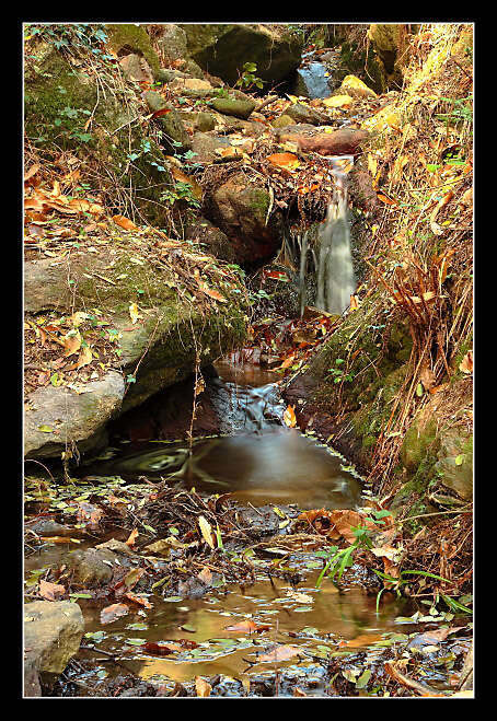 Autunno sul monte Serra - 4