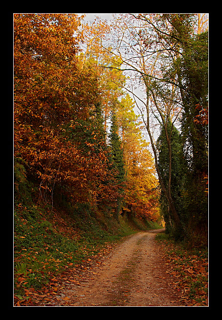 Autunno sul monte Serra - 6