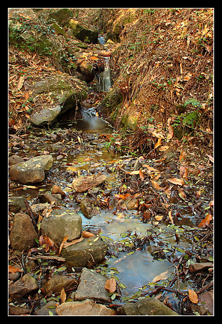 Autunno sul monte Serra - 7