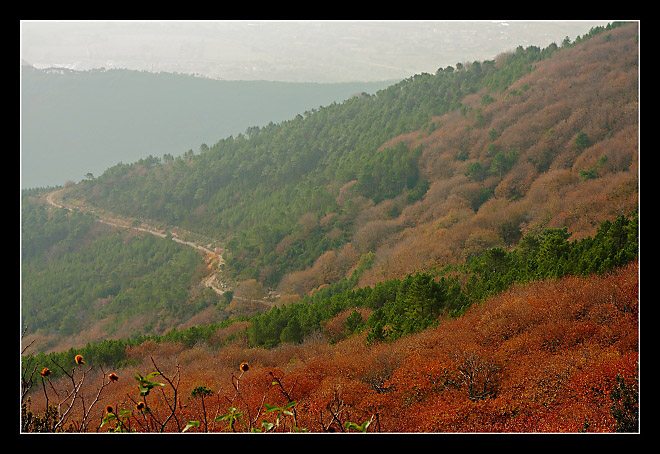 Autunno sul monte Serra - 9