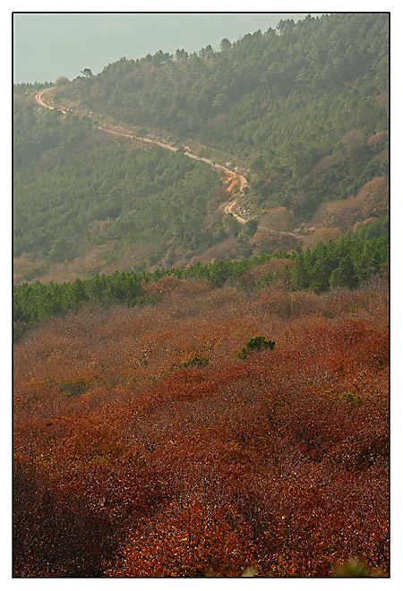 Autunno sul monte Serra - 13