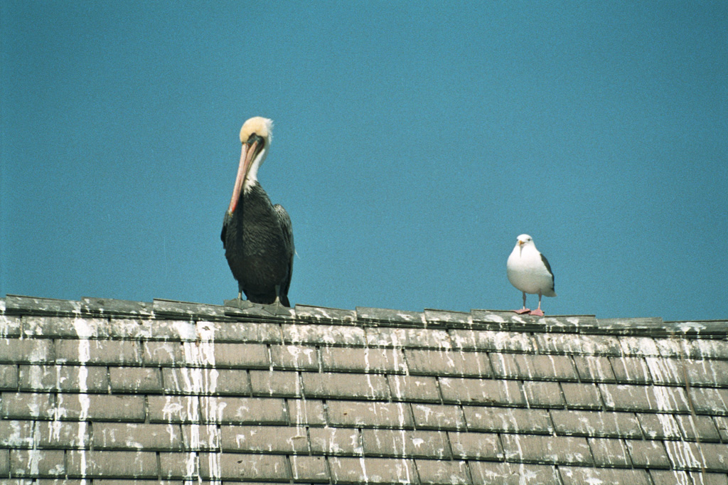 Sul molo di Santa Barbara