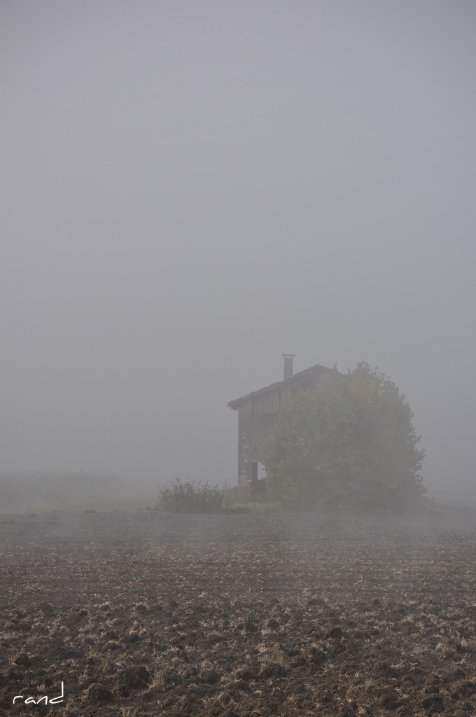 Nebbia
