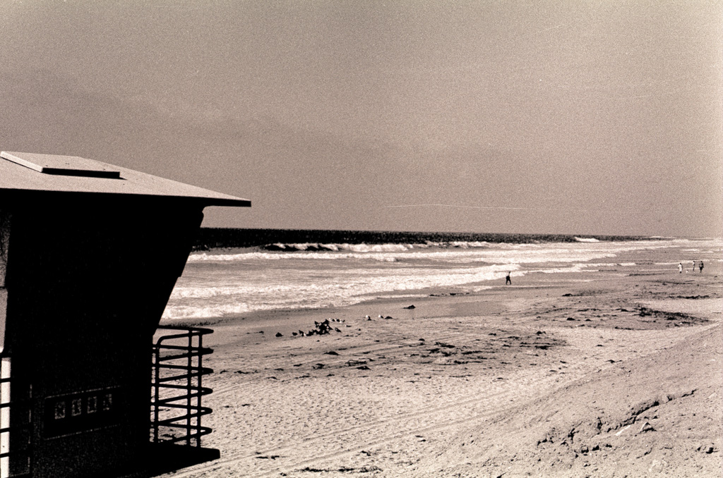 Torrey Pines State Reserve