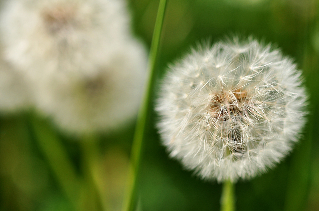 IN ATTESA DI UN SOFFIO DI VENTO