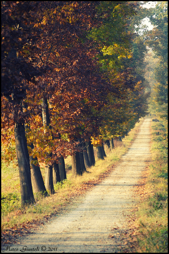 Strade d'autunno