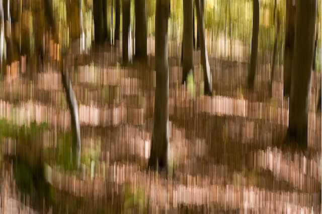 colori d'autunno, prova n� 4