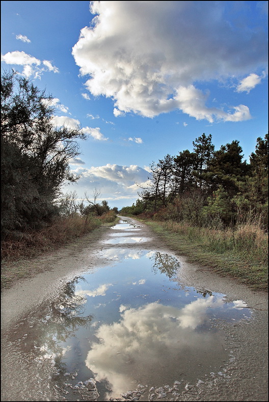 Un p� di cielo in terra
