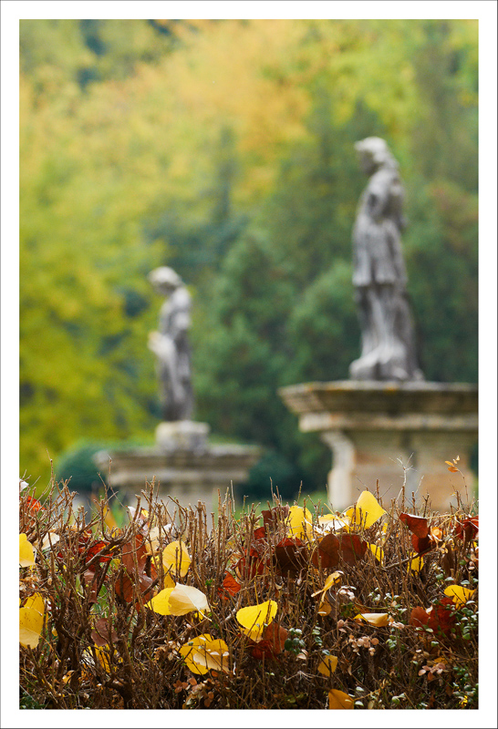 Valsanzibio, Autunno