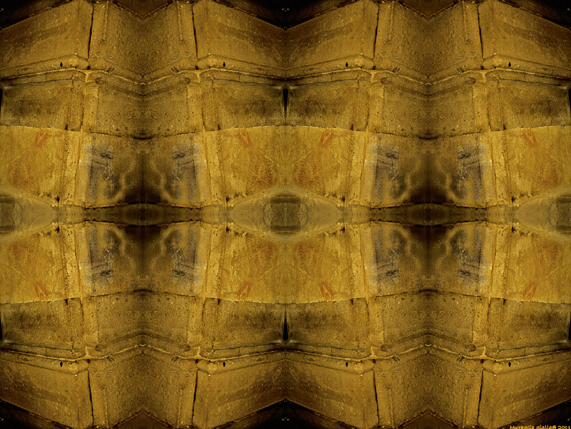 muraglia gialla@2011