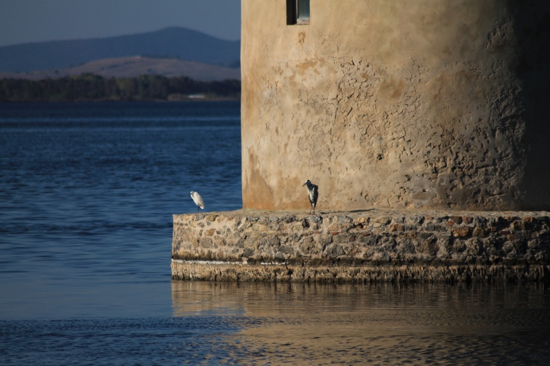 Laguna di Orbetello