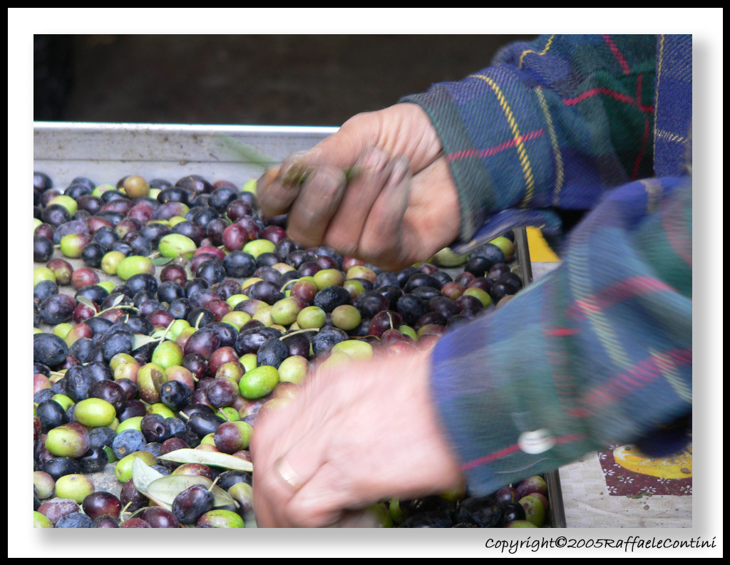 questa si...e questa no!