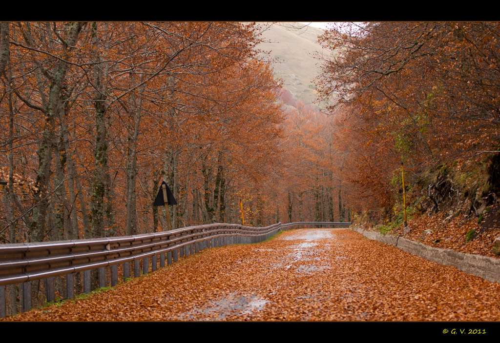 vai dove ti porta... il caso