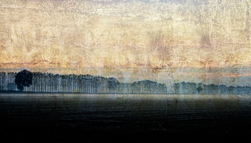 The first fog of the day