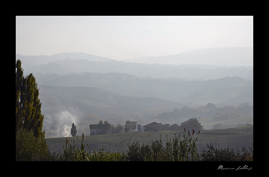 layers through the fog