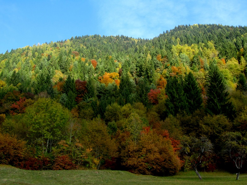 Sfumature d'autunno 7