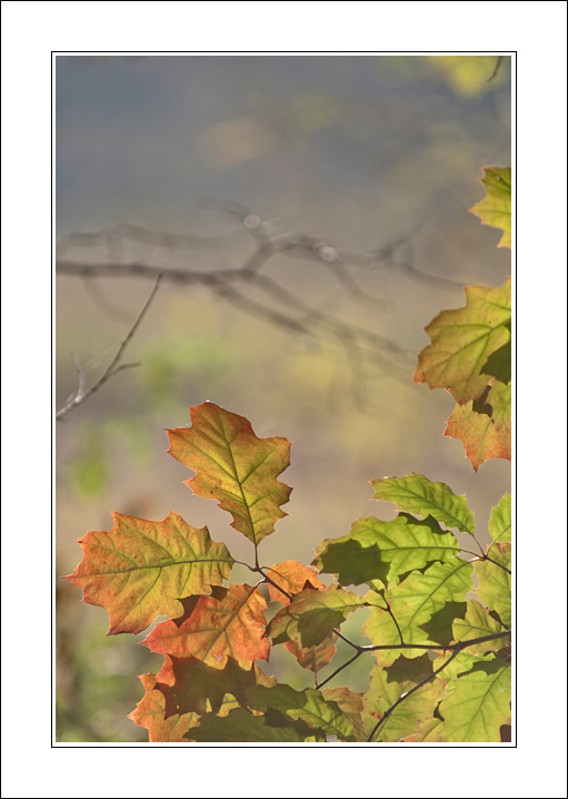 Un autunno leggero..