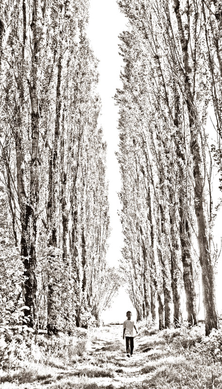 i giganti e il bambino