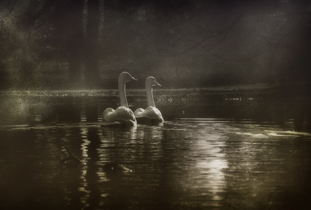 legami indissolubili