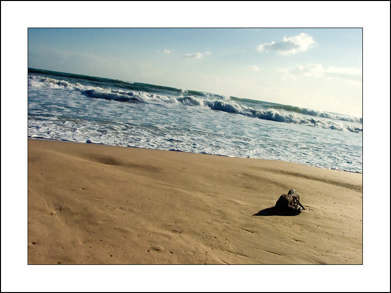 Il peso di un ricordo